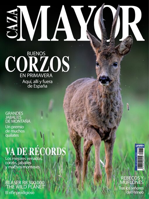 Cover image for Caza Mayor 